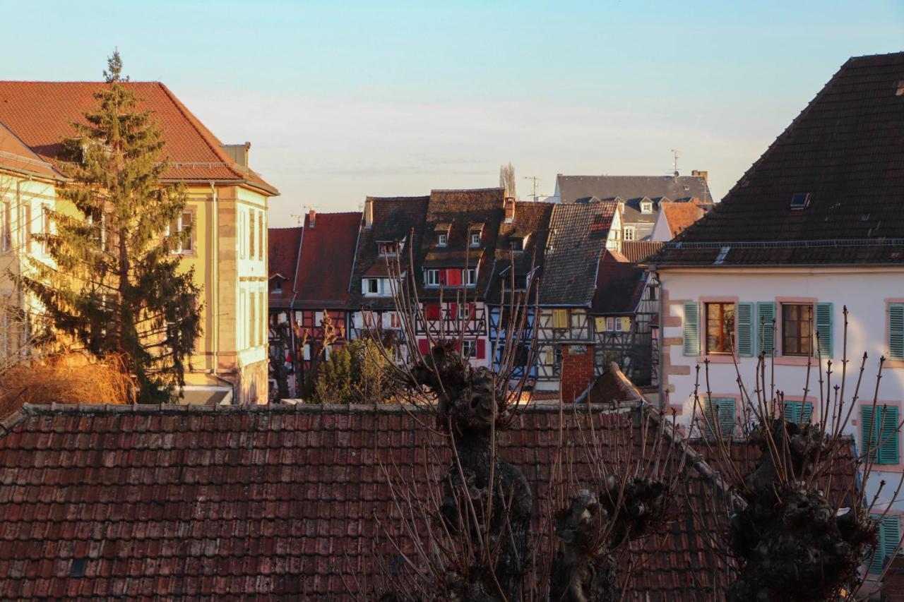 gite45colmar Esterno foto